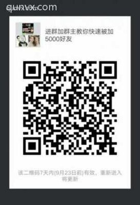 学习被加5000好友