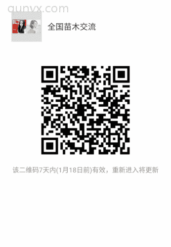 全国苗木交流