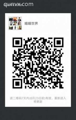 喵的视界