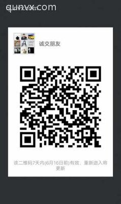 诚信交友群