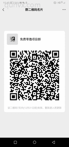 免费零撸项目群