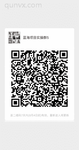 蓝海实体经济实惠项目群