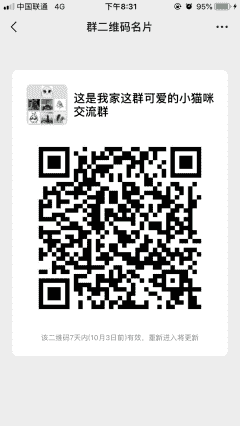 这是我家这群可爱的小猫咪沟通群