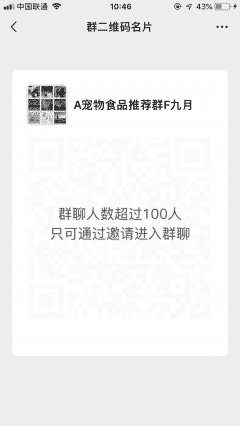 宠物食品推荐