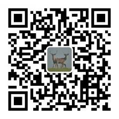 各地城市宠物群「达人/专家入驻」