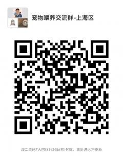 宠物喂养沟通群-上海区