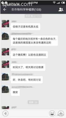 农作物科学种植群