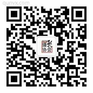 喜欢摄影的一群人