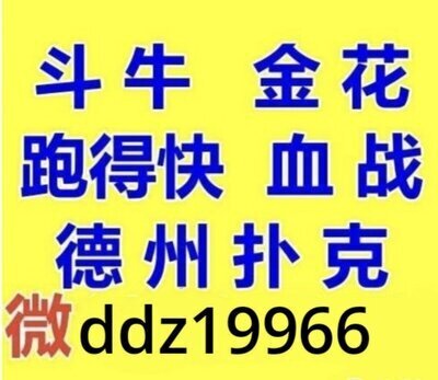 麻将跑得快