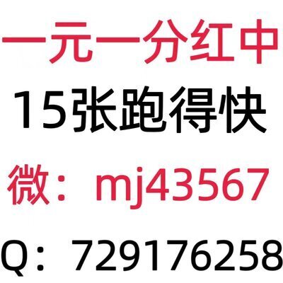全天24小时一元一分广东红中麻将群