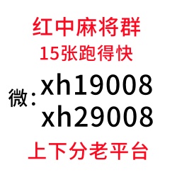 正规加入一元一分红中麻将群