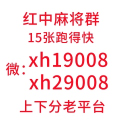 一元一分手机麻将群
