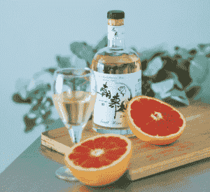 副业销售水果酒