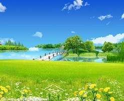 定做生日蛋糕