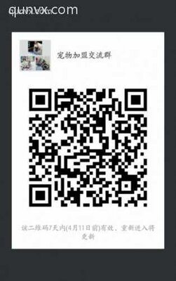 宠物加盟沟通群