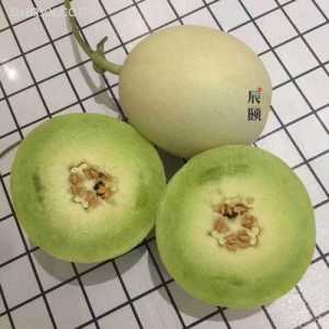应季水果批发零售群