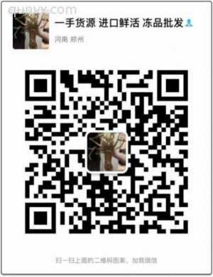 鲜活 冻品 礼盒批发