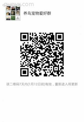 养鸟宠物爱好群二维码