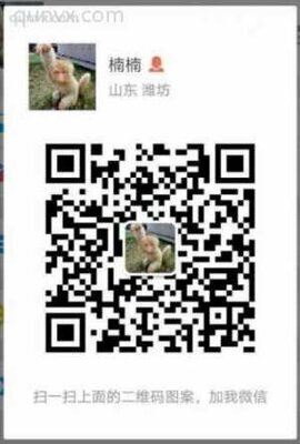 免费加粉5二维码