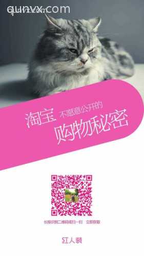 宝妈副业群