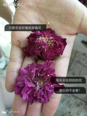 只想有更多的朋友
