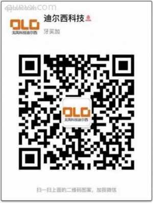 迪尔西充电桩副业二维码
