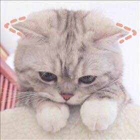 生活创业交友群