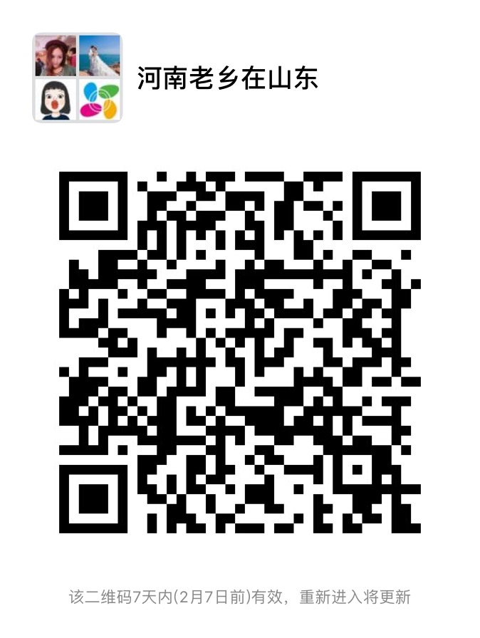 河南老乡群