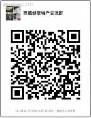 西藏特产招代理