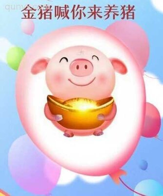 金猪下崽省钱 赚钱群