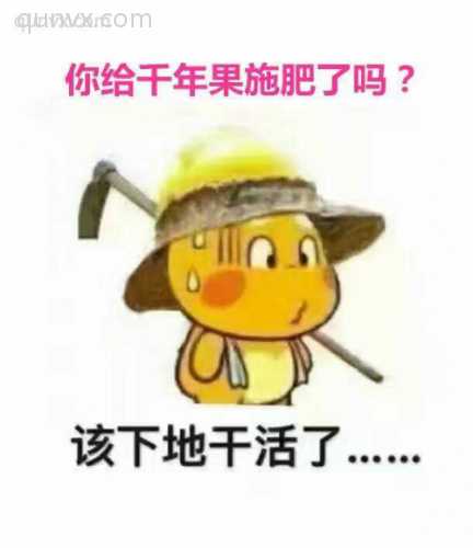 千年果咨询群