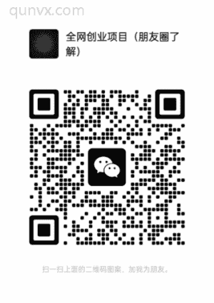 全网创业项目课程群