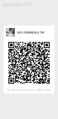 宝妈上班族副业副业二维码