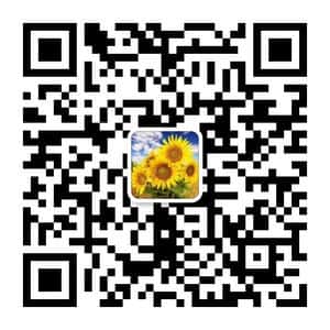 优惠券创业群
