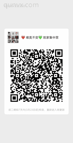 剁手集中营二维码