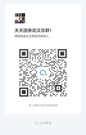 天天团券武汉总群1二维码