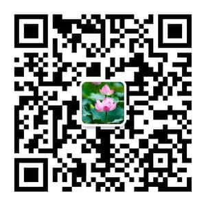 最强副业来撩