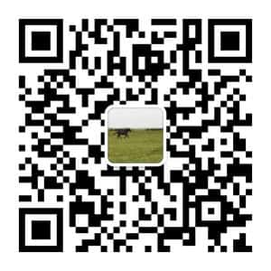 微信APP副业项目群