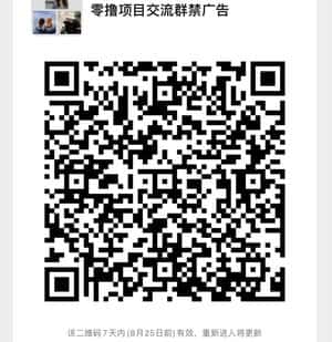 零撸项目交流群