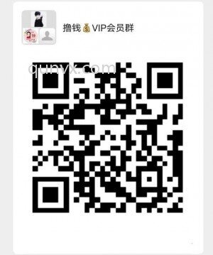撸钱vip群