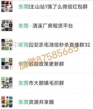 东莞群,东莞本地群,东莞微信群