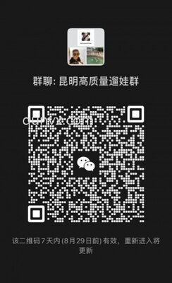 昆明高质量遛娃群
