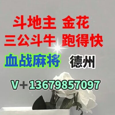 一快一分广东炸金花牛牛跑得快亲友群