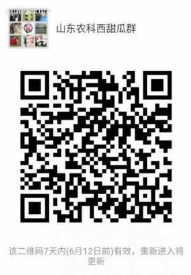 山东农科西甜瓜群二维码