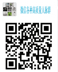 微信好友群互粉群