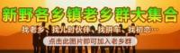 新野老乡群