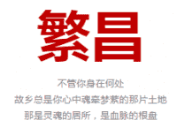 繁昌老乡群