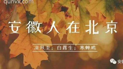 安徽人在北京微信群