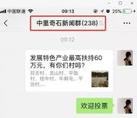 中里奇石老乡群