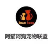 100+个深圳宠物群